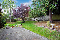 Private Back yard